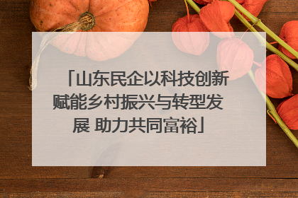 山东民企以科技创新赋能乡村振兴与转型发展 助力共同富裕