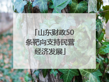 山东财政50条靶向支持民营经济发展