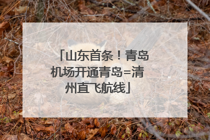 山东首条！青岛机场开通青岛=清州直飞航线
