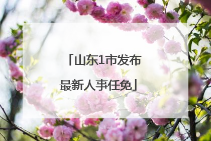 山东1市发布最新人事任免