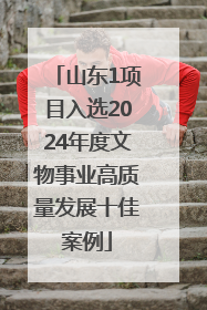 山东1项目入选2024年度文物事业高质量发展十佳案例