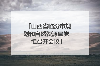山西省临汾市规划和自然资源局党组召开会议