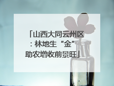 山西大同云州区：林地生“金” 助农增收前景旺