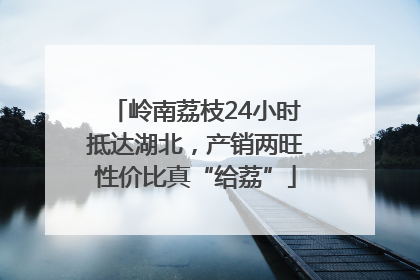 岭南荔枝24小时抵达湖北，产销两旺性价比真“给荔”