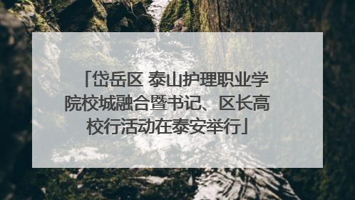 岱岳区 泰山护理职业学院校城融合暨书记、区长高校行活动在泰安举行