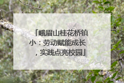 峨眉山桂花桥镇小：劳动赋能成长，实践点亮校园