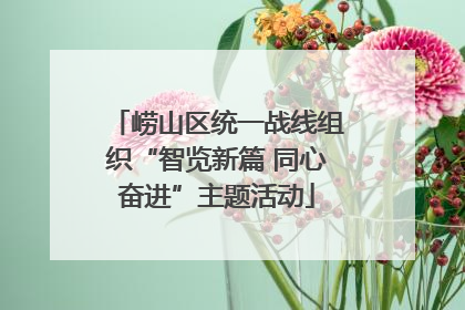 崂山区统一战线组织“智览新篇 同心奋进”主题活动