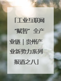 工业互联网“赋智”全产业链｜贵州产业新势力系列报道之八