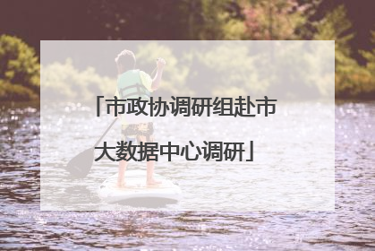 市政协调研组赴市大数据中心调研