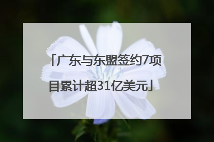 广东与东盟签约7项目累计超31亿美元