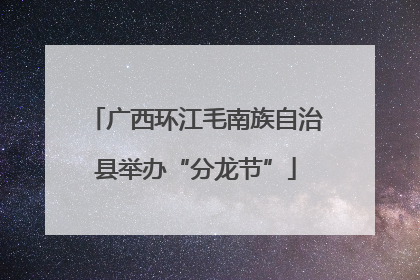 广西环江毛南族自治县举办“分龙节”