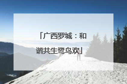 广西罗城:和谐共生鹭鸟欢
