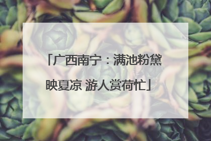广西南宁：满池粉黛映夏凉 游人赏荷忙
