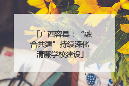 广西容县：“融合共建”持续深化清廉学校建设