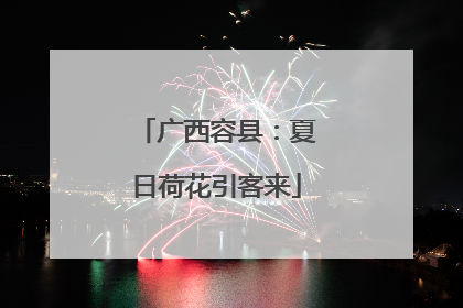 广西容县：夏日荷花引客来