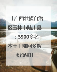 广西壮族自治区玉林市陆川县：3900多名本土干部回乡解纷促和
