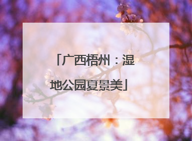广西梧州：湿地公园夏景美