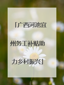 广西河池宜州务工补贴助力乡村振兴