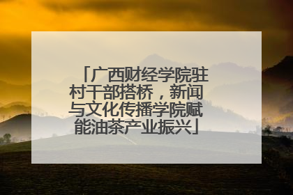 广西财经学院驻村干部搭桥，新闻与文化传播学院赋能油茶产业振兴