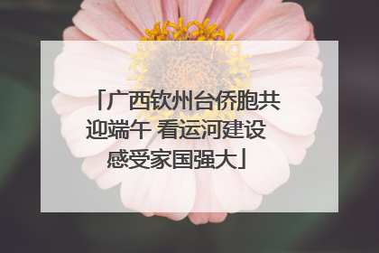 广西钦州台侨胞共迎端午 看运河建设感受家国强大