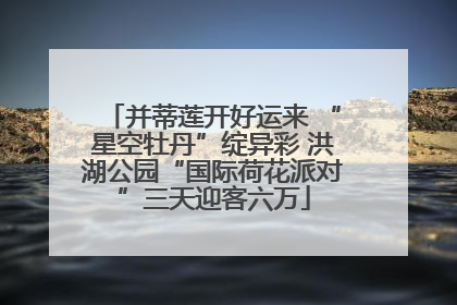 并蒂莲开好运来 “星空牡丹”绽异彩 洪湖公园“国际荷花派对”三天迎客六万