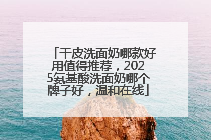 干皮洗面奶哪款好用值得推荐，2025氨基酸洗面奶哪个牌子好，温和在线
