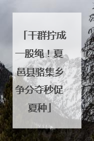 干群拧成一股绳！夏邑县骆集乡争分夺秒促夏种