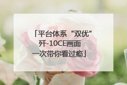 平台体系“双优” 歼-10CE画面一次带你看过瘾