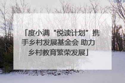 度小满“悦读计划”携手乡村发展基金会 助力乡村教育繁荣发展