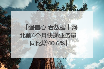 强信心 看数据丨河北前4个月快递业务量同比增40.6%