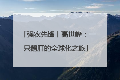 强农先锋丨高世峰：一只鹅肝的全球化之旅