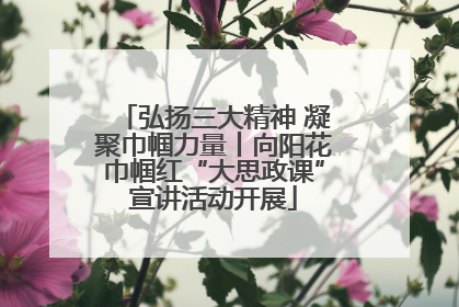 弘扬三大精神 凝聚巾帼力量丨向阳花巾帼红“大思政课”宣讲活动开展