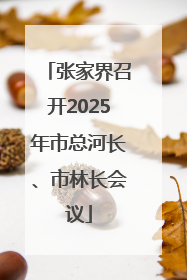 张家界召开2025年市总河长、市林长会议