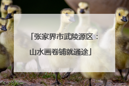 张家界市武陵源区：山水画卷铺就通途