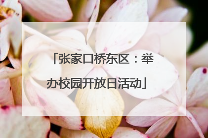 张家口桥东区：举办校园开放日活动