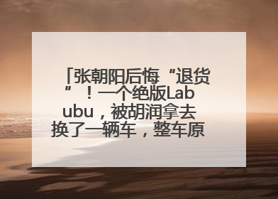 张朝阳后悔“退货”！一个绝版Labubu，被胡润拿去换了一辆车，整车原价值上百万元