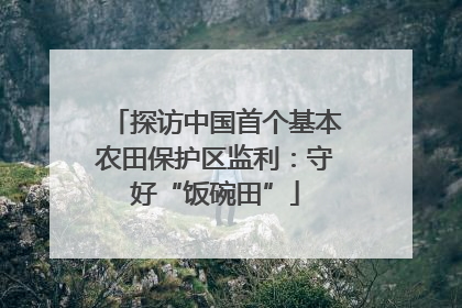 探访中国首个基本农田保护区监利：守好“饭碗田”