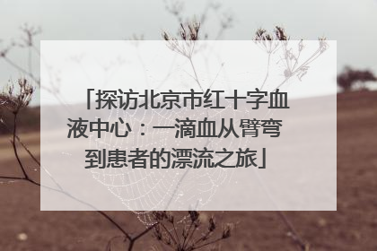 探访北京市红十字血液中心：一滴血从臂弯到患者的漂流之旅