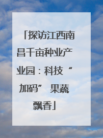 探访江西南昌千亩种业产业园：科技“加码” 果蔬飘香