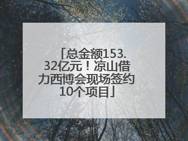 总金额153.32亿元！凉山借力西博会现场签约10个项目