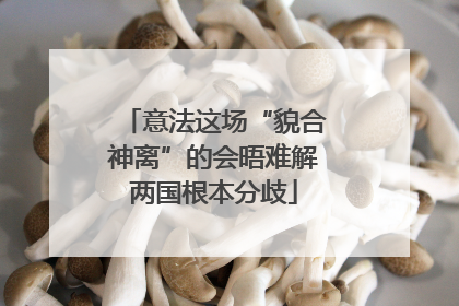 意法这场“貌合神离”的会晤难解两国根本分歧