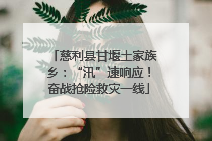 慈利县甘堰土家族乡：“汛”速响应！奋战抢险救灾一线