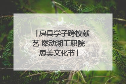 房县学子跨校献艺 燃动湖工职院思美文化节