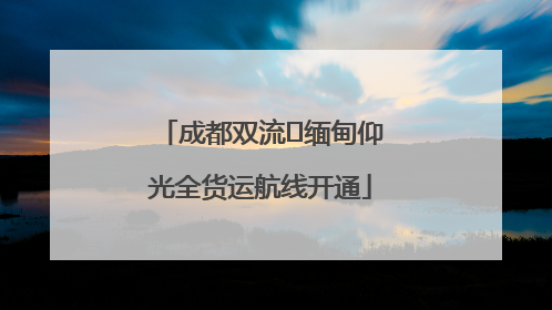 成都双流⇌缅甸仰光全货运航线开通