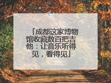 成都这家博物馆收藏数百把吉他：让音乐听得见，看得见