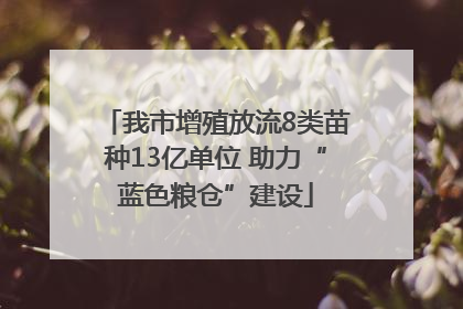 我市增殖放流8类苗种13亿单位 助力“蓝色粮仓”建设