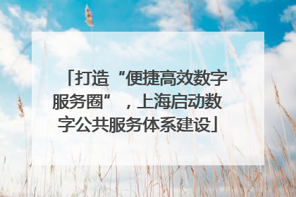 打造“便捷高效数字服务圈”，上海启动数字公共服务体系建设