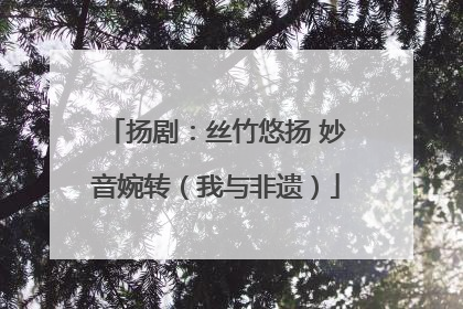 扬剧：丝竹悠扬 妙音婉转（我与非遗）