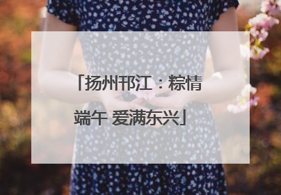 扬州邗江：粽情端午 爱满东兴