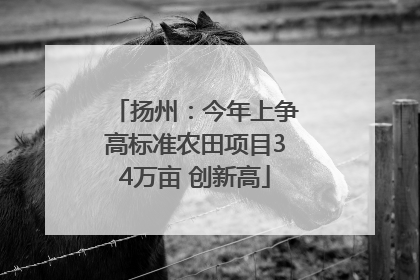 扬州：今年上争高标准农田项目34万亩 创新高